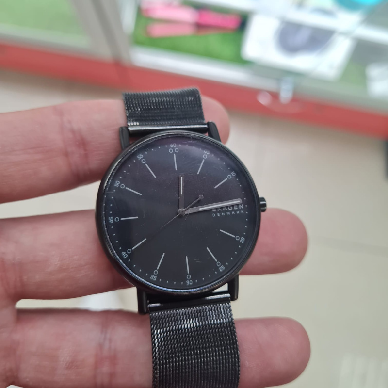 Часы наручные Skagen skw 6579