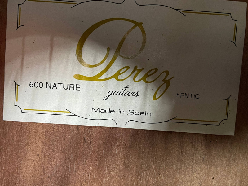 гитара Ibanez 600