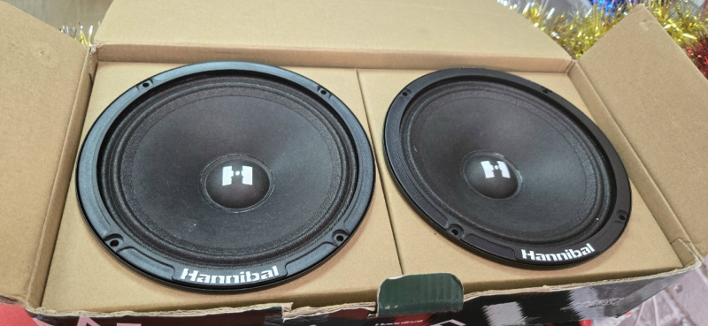 Авто сабвуфер Hannibal HM 6E+